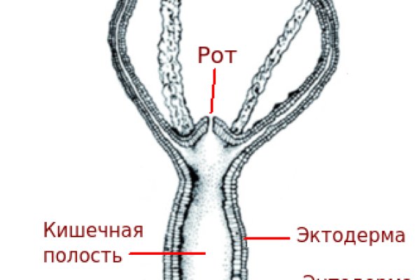 Не приходят деньги на кракен