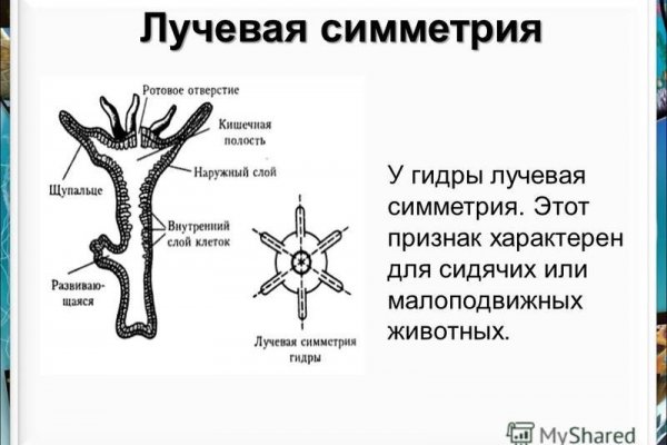 Что случилось с кракеном сайт