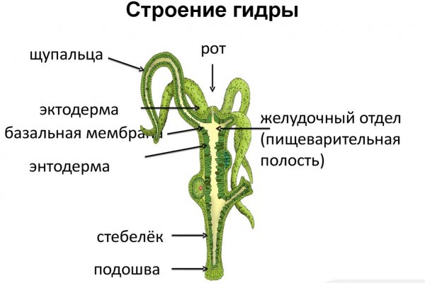 Сайт krn